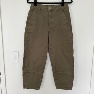 Everlane Utility Barrel Pant
